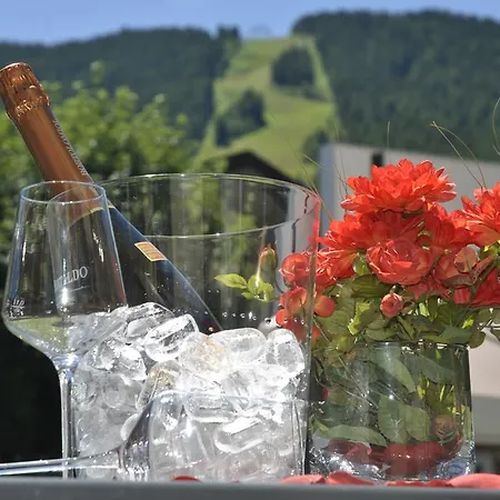 Apart-hotel Stella Alpina Aprica