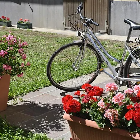 Apart-hotel Stella Alpina 3*
